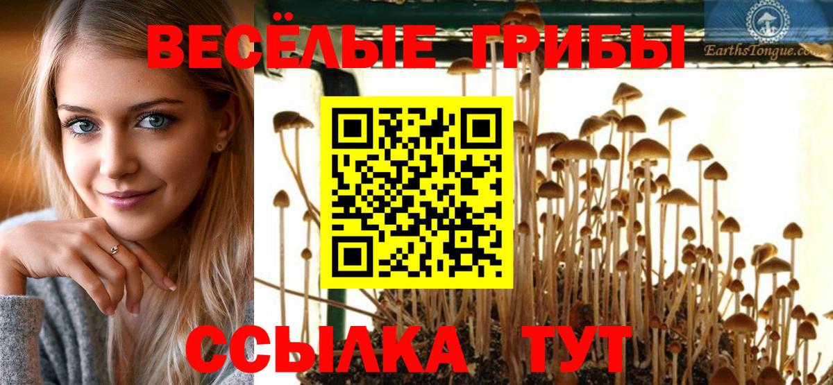 Верхняя Салда  Галлюциногенные грибы MAGIC MUSHROOMS  Вход с VPN 