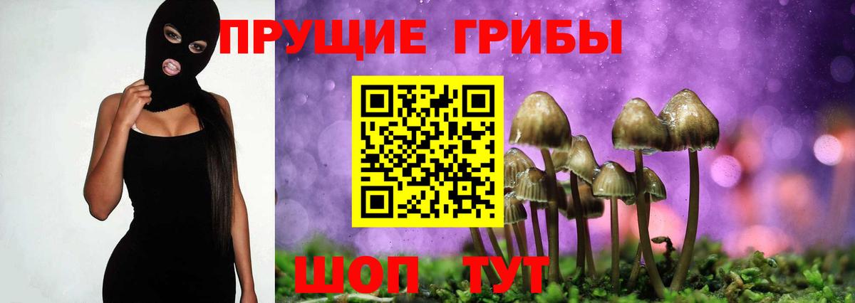 Галлюциногенные грибы мухоморы Верхняя Салда
